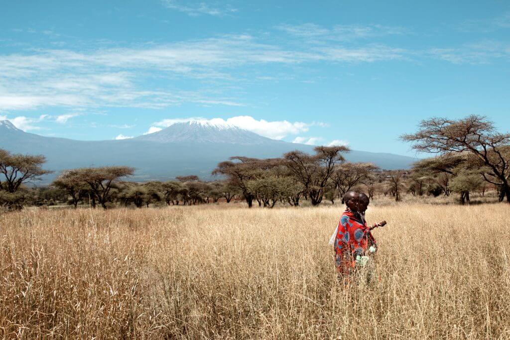 5 Kuku  Kenya Work What we do Justdiggit kenya Kuku grass seed bank women Kilimanjaro 1024x683 2