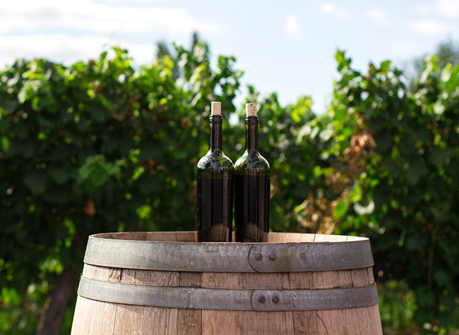 Driving 140% growth in revenue for the ultimate wine resource