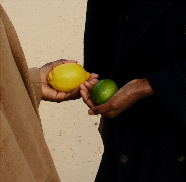 lemons in hand