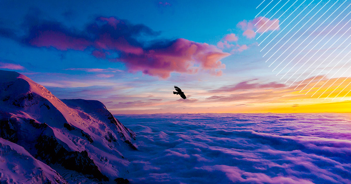 Bird soaring high over the ocean.