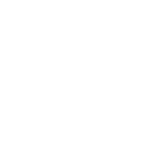 Annual Multimedia Award WHITE
