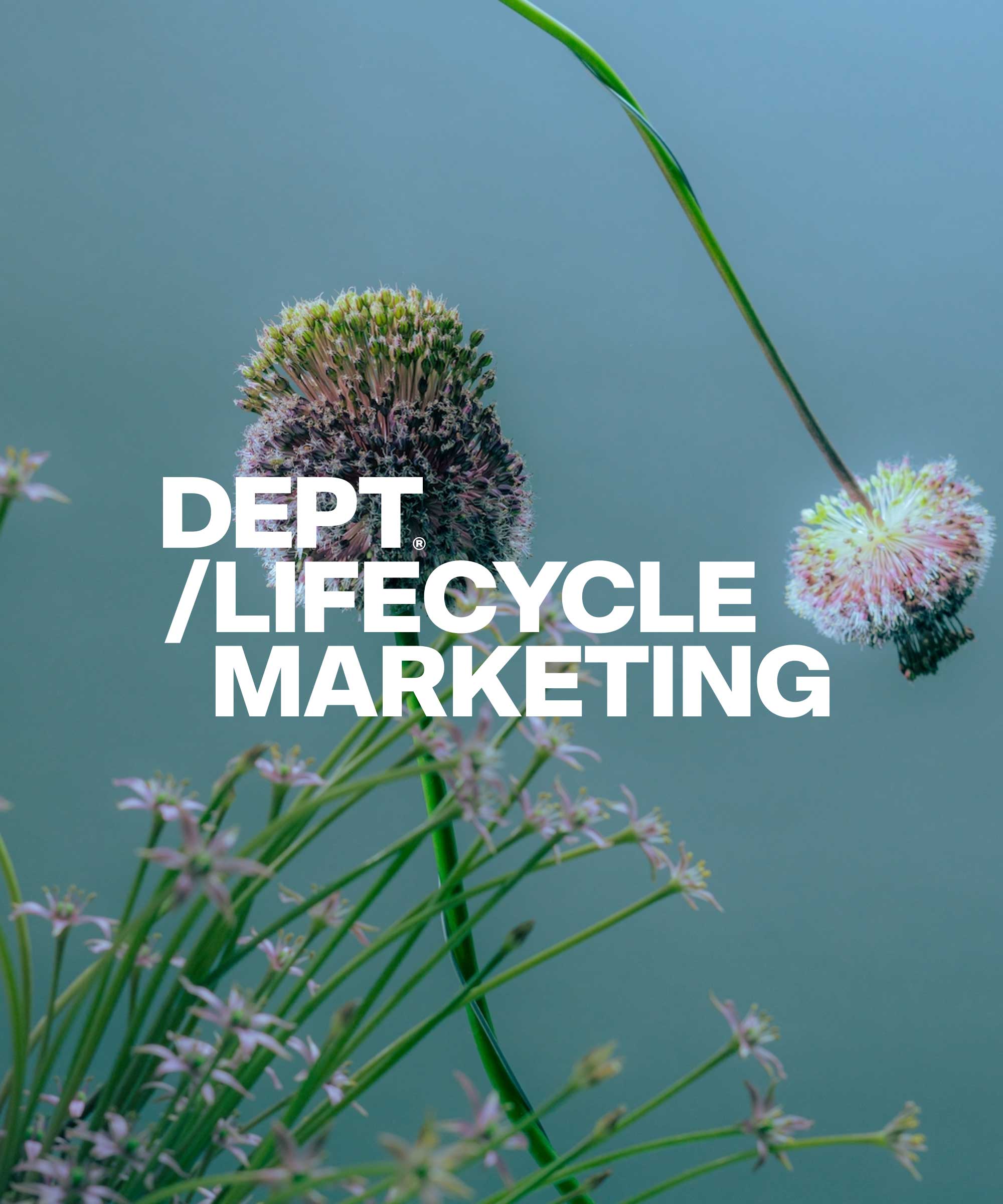 DEPT Lifecycle Marketing portrait