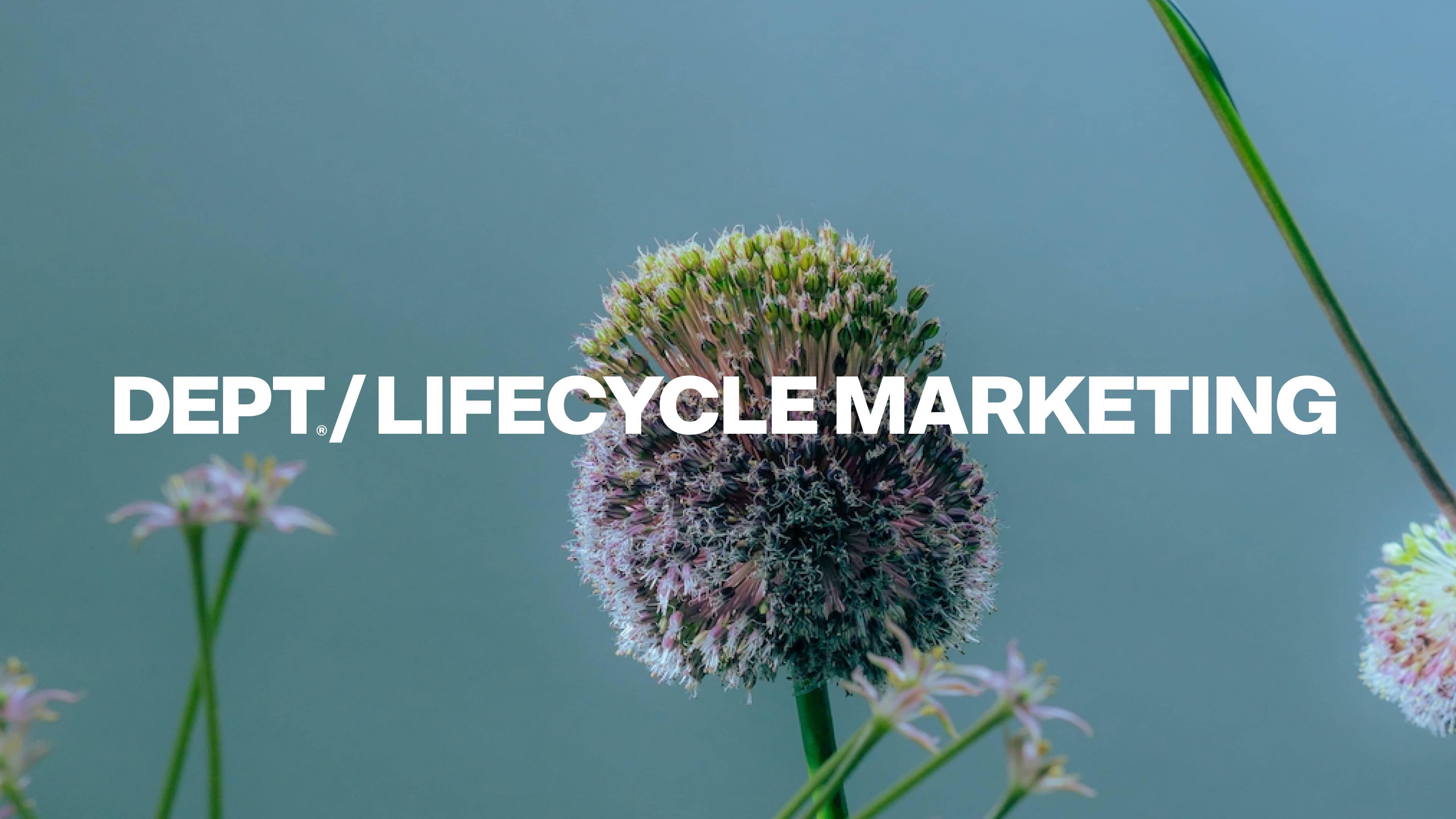 Lifecycle marketing 