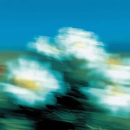 BCORP culture carousel