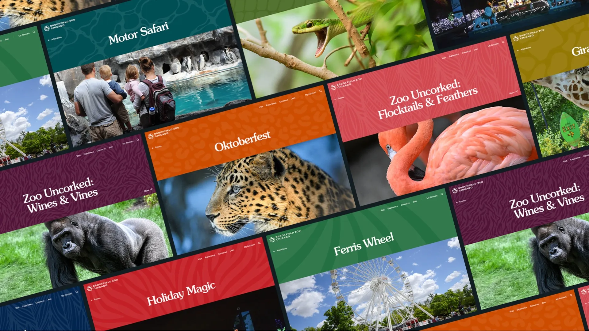 Brookfield Zoo Chicago and DEPT® Reimagine the Digital Experience to Bring Visitors Closer to the Animals, Mission and Impact