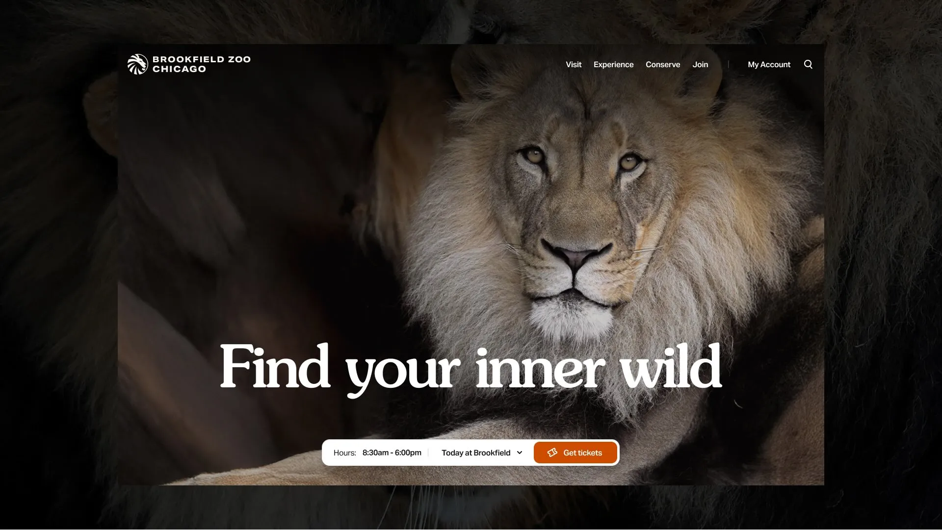 Homepage Brookfield Zoo